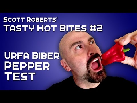 , title : 'Urfa Biber Chile Pepper Test - Tasty Hot Bites #2'