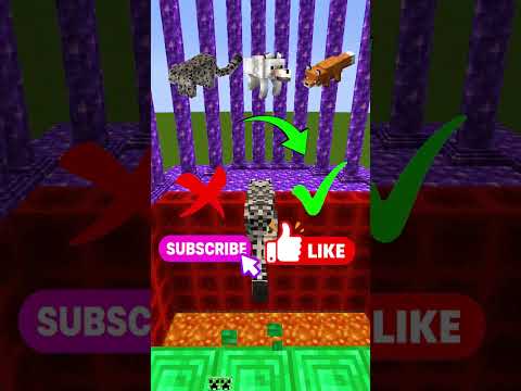 Snow Leopard vs Wolf vs Fox ❄️🔥 Who Falls in Lava First?! 😭💀