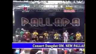 Download lagu Dangdut Koplo New Pallapa Terbaru 2014 Full Album Live Pelem Watu Megati Gresik mp3