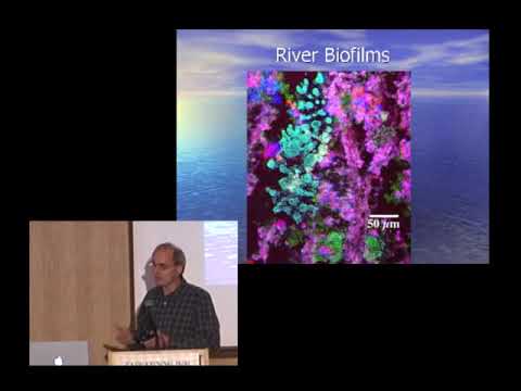 Dr. John R. Lawrence: Biofilms - How Microbial Slime Can Change The Quality of Drinking Water