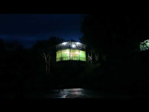 Arrival at Amazon Tupana lodge after sunset