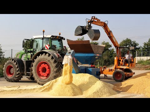 Pastone di Mais|Fendt 312-724-933/Claas Lexion 470/Manitou