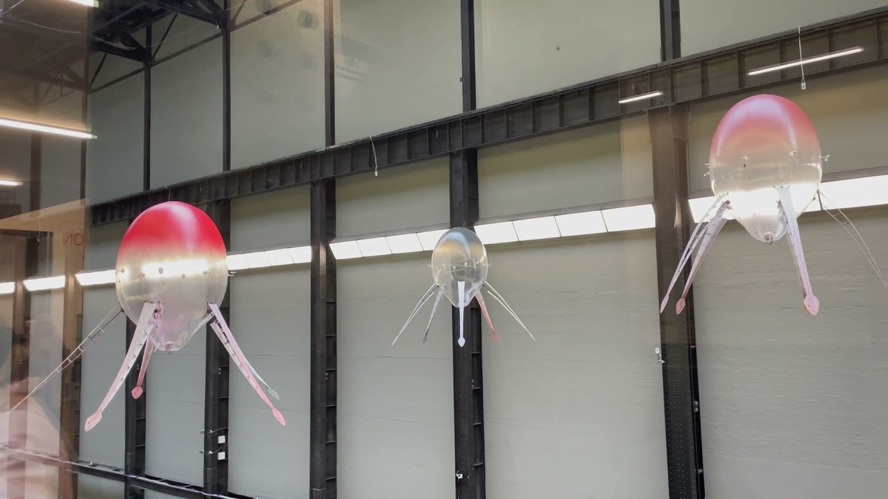 Anicka Yi - In Love With The World - HD 1080p