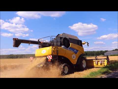 Gersten Ernte 2018 am unteren Niederrhein!