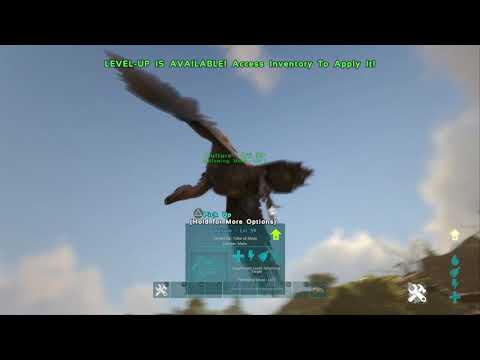 How To Tame A Vulture