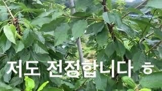 날라리농부도 전정합니다 ㅎㅎ