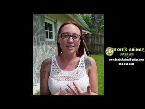 Promotional video thumbnail 6 for Exotic Animal Parties