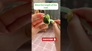 FuzzyTwist Easy pipe cleaner craft, vegetable out of cleaner pipe #pipecleaner