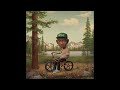 Tyler The Creator Domo23 CD Version