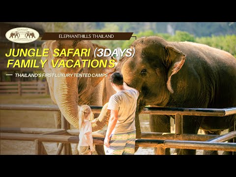 Elephant Hills: 3Days Jungle Safari Family vacation, Khao Sok National Park, Thailand