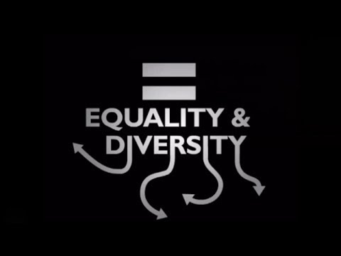 What is Equality & Diversity?