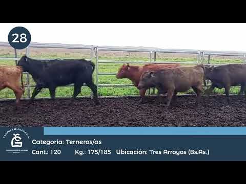 Lote M Y H - Tres Arroyos Bs As