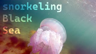 Снорклінг, пляж Дельфін, Одеса, серпень 2024 (Snorkeling, Ukraine, Black Sea, Dolphin Beach)