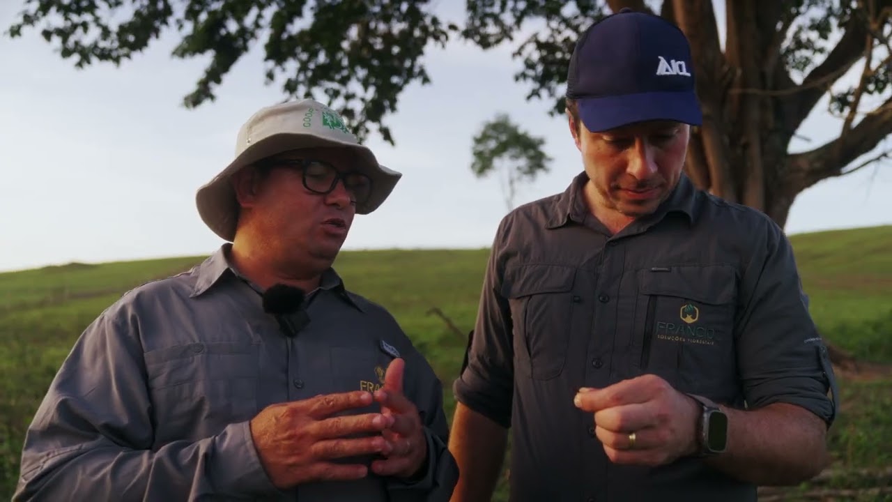 Como conhecer melhor  as formigas cortadeiras, e ter eficiência em seu controle?