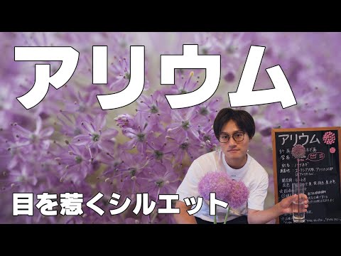 開花前に植える