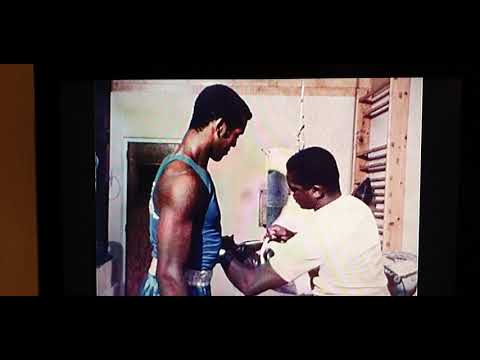 Teofilo Stevenson, Orlando Martinez and Alcides Sagarra in a magical clip....