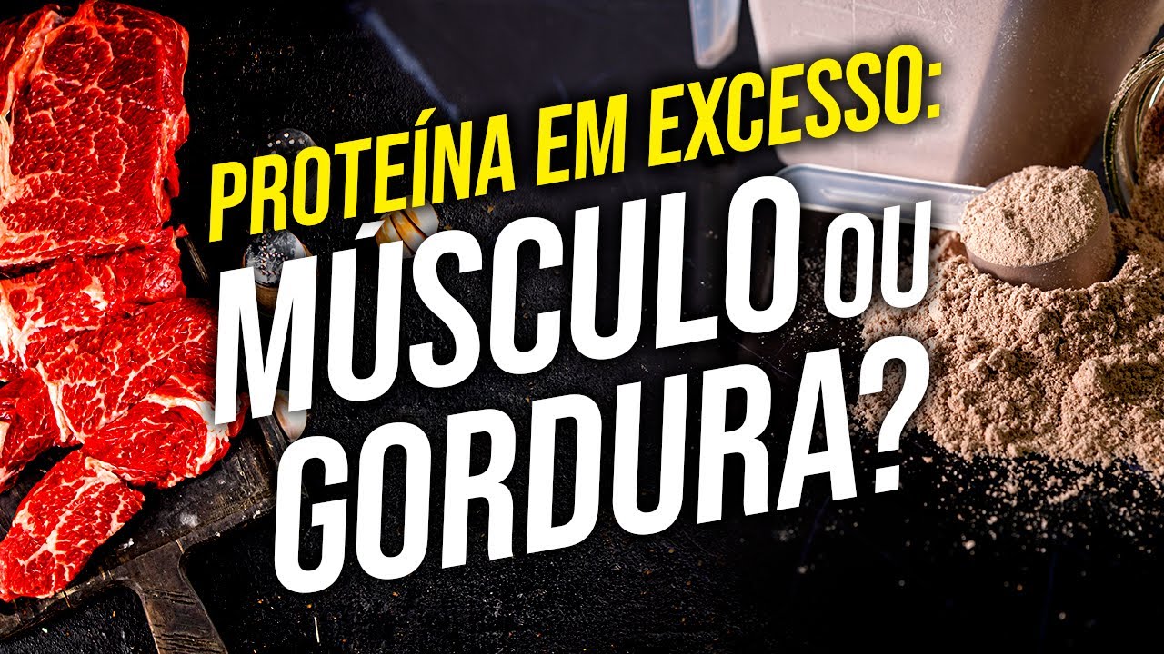 O QUE ACONTECE QUANDO COMO MUITA PROTEÍNA? | Vira Músculo ou gordura?