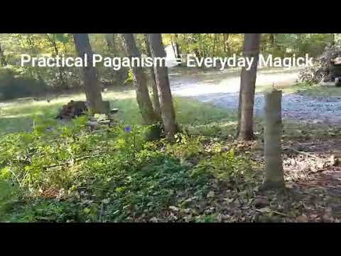 PRACTICAL PAGANISM Harvesting Monkshood