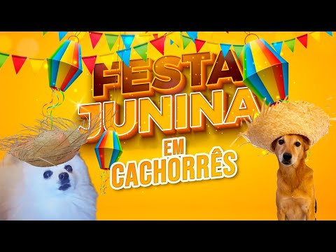 Beat da Festa Junina 2023 em cachorrês