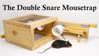 The Double Snare Mousetrap Invented By A Youtube Viewer. Mousetrap Monday