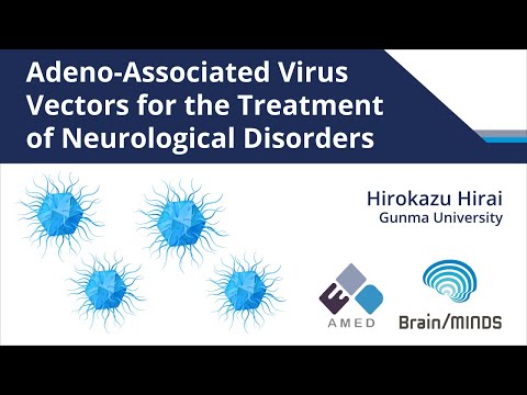 Adeno-Associated Virus Vectors for the Treatment of Neurological Disorders
