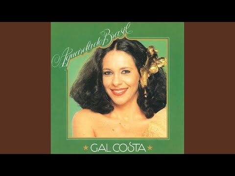 Na Baixa Do Sapateiro