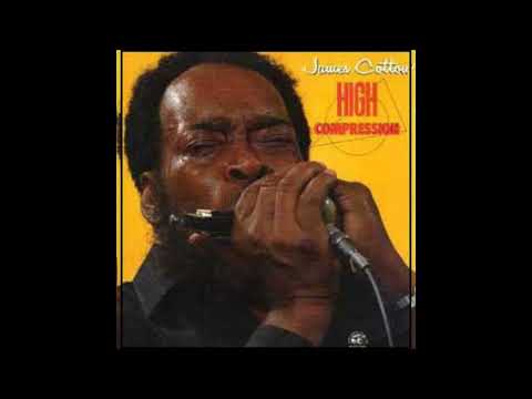 James Cotton  - No more Doggin'