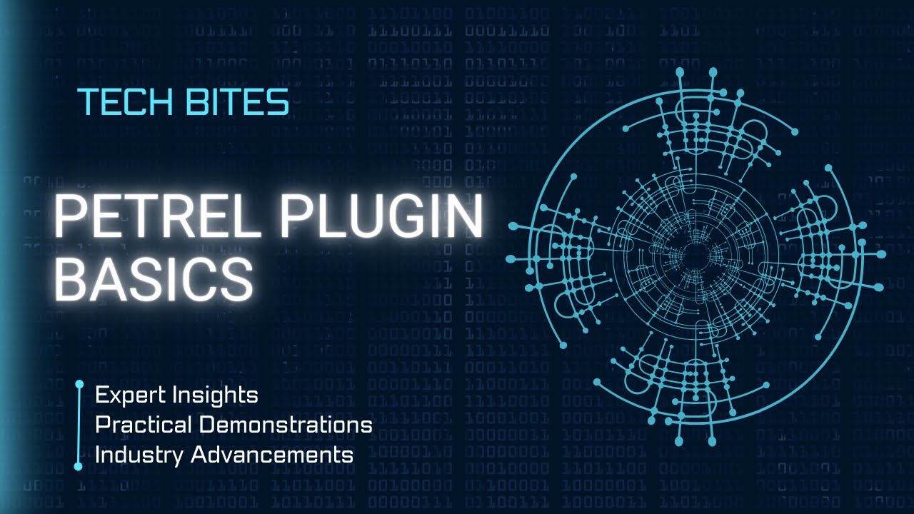 Petrel Plugin Basics