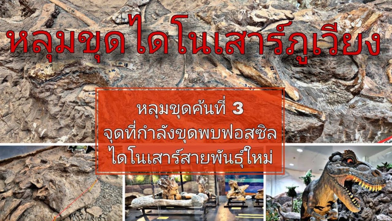 หลุมขุดค้นซากฟอสซิลไดโนเสาร์