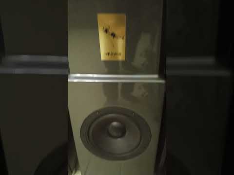 акустика на динамиках фирмы Audes