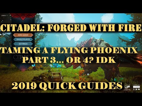 Citadel: Forged With Fire 2019 - Another Flying Phoenix Tamed Without A Trap... Kind Of