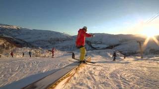 Twisted Monkey Collage - 2011