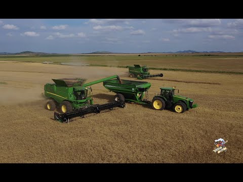 2021 Wheat Harvest near Roosevelt Oklahoma