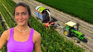 Farm Girl Cutting Silage For The First Time Ever