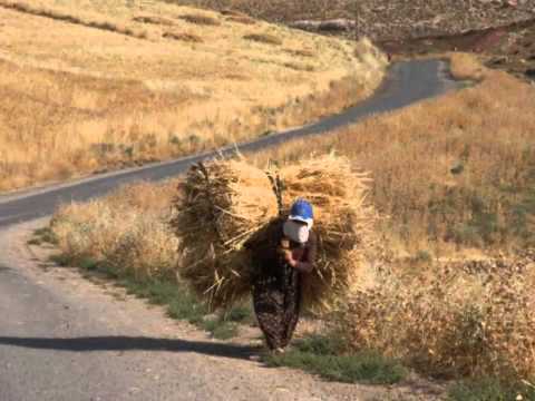 Adiss Harmandian   Mush Sasun