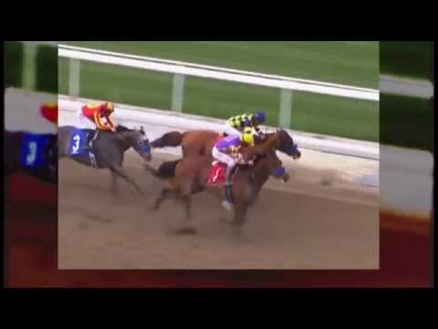 Chitu - TVG 2014 Kentucky Derby Profile