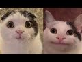 Memes But Try Not To Giggle Or Smirk
