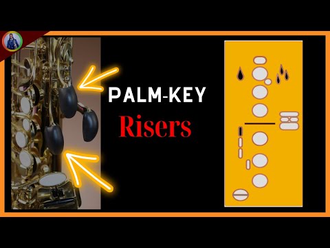 Saxophone Palm Key Risers Review