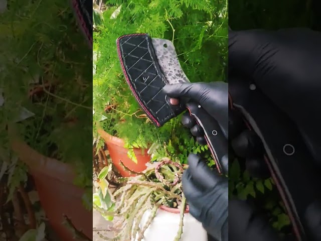Vídeo relacionado con Boland-23482 Hacha de plástico, multicolor (Ciao Srl 23482)