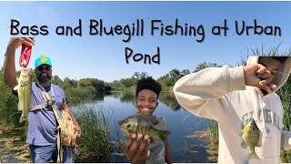 Bass and Bluegill fishing at Urban Pond #fishing #newmexico #bassfishing #flyfishing