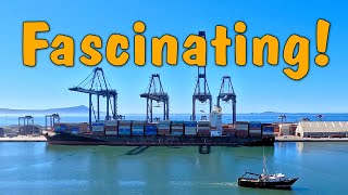 Oddly Fascinating:  Watching Cranes Simultaneously Load And Unload Containers On To A Container Ship