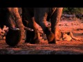 La Tierra Disney Nature Trailer