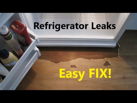 Refrigerator Leaks water. Try This Easy Fix