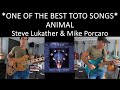 TOTO - ANIMAL - Mike Porcaro & Steve Lukather Bass & Guitar Cover