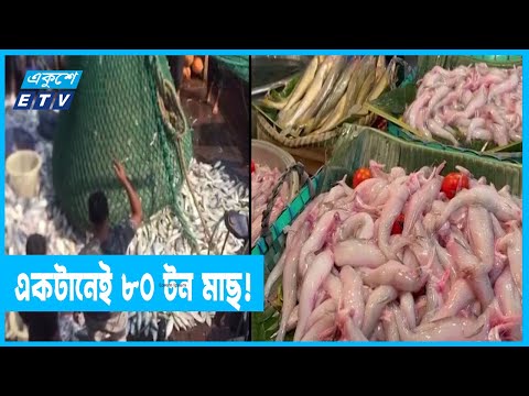 সমুদ্রসীমা উদ্ধারের পর শিকার বাড়ছে সুস্বাদু মাছের