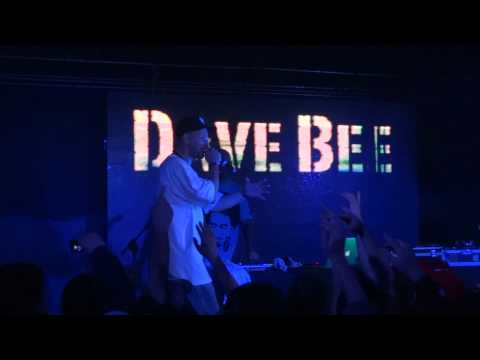 dave bee en chile 2011 - color, forma, figura