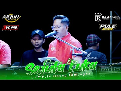 SEJUTA LUKA - DIMAS KEY - ARJUN MUSIC LIVE PULE LAMONGAN ( COVER) 