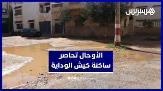 فيضانات وأوحال.. ساكنة كيش الوداية تستنكر ضعف البنية التحتية thumbnail