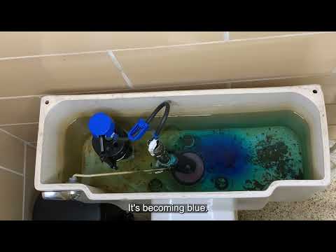 Part of a video titled How to Detect a Leaky Seal - YouTube