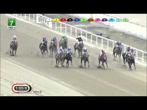 Joe Fujii Treble - Busan, April 26 2013